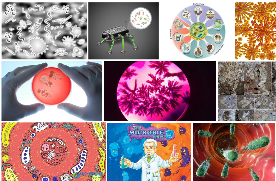 誰最早發(fā)現(xiàn)食品變質(zhì)的原因